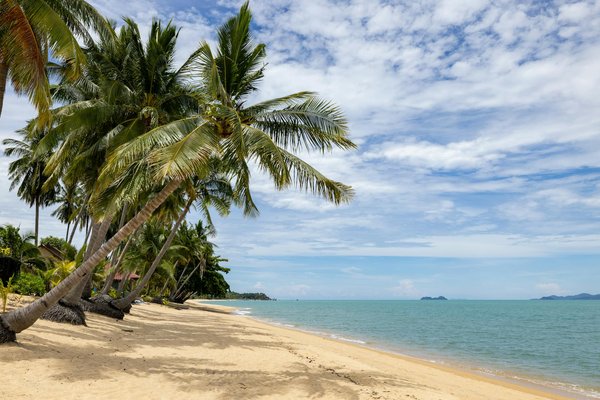 Camping pas cher : 1929 choix pour des vacances idéales !