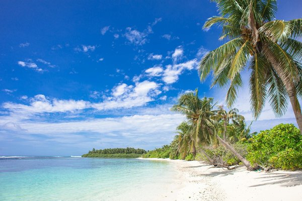 Voyage en solitaire : découvrir le tourisme rural autrement