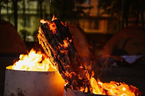 5 idées d'excursions en bateau pour les familles