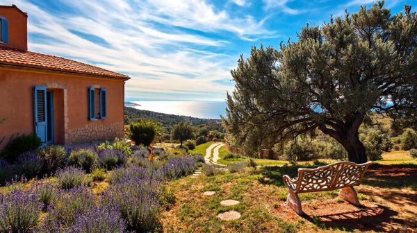 Les meilleures maisons d’hôtes charmantes à Bormes-les-Mimosas